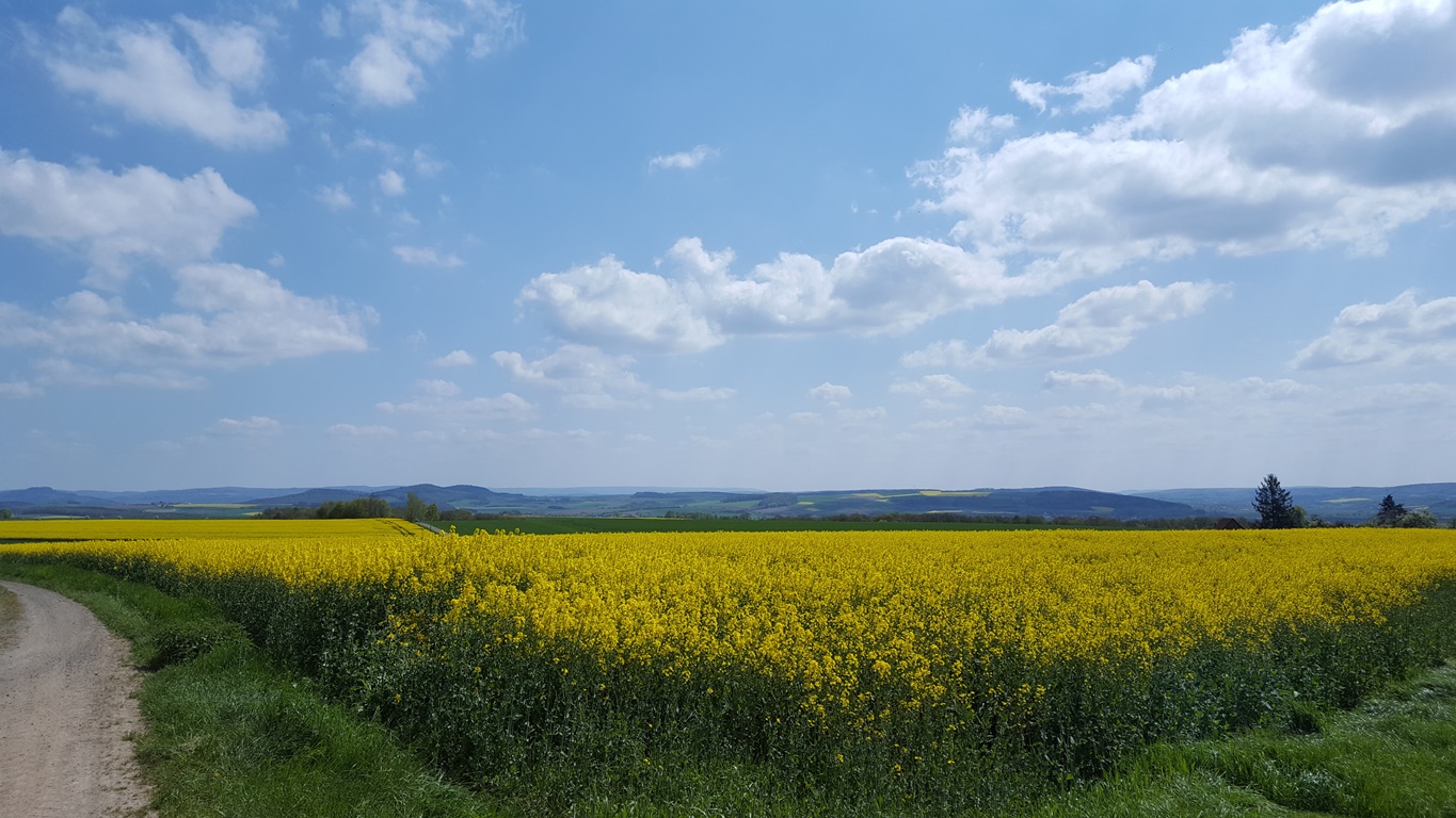 20160505_142640