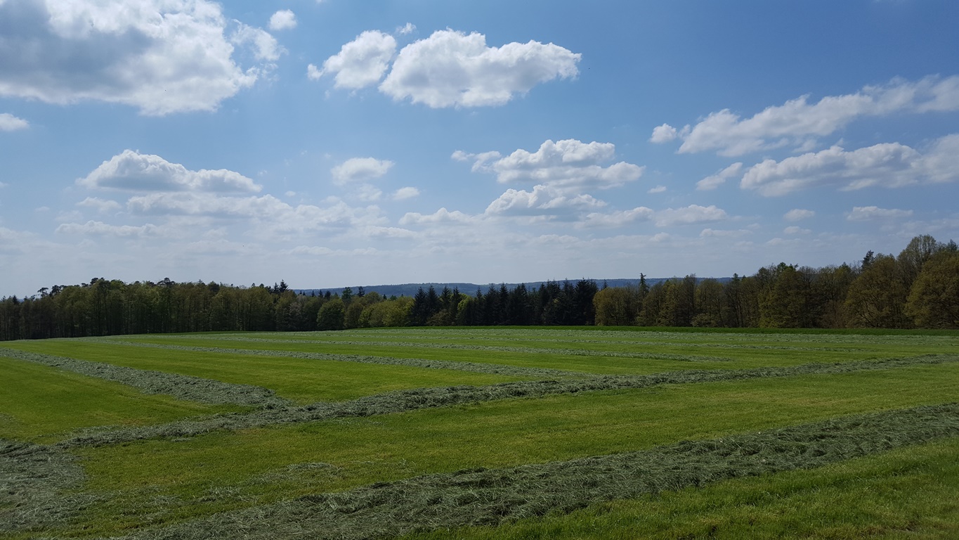 20160505_142624